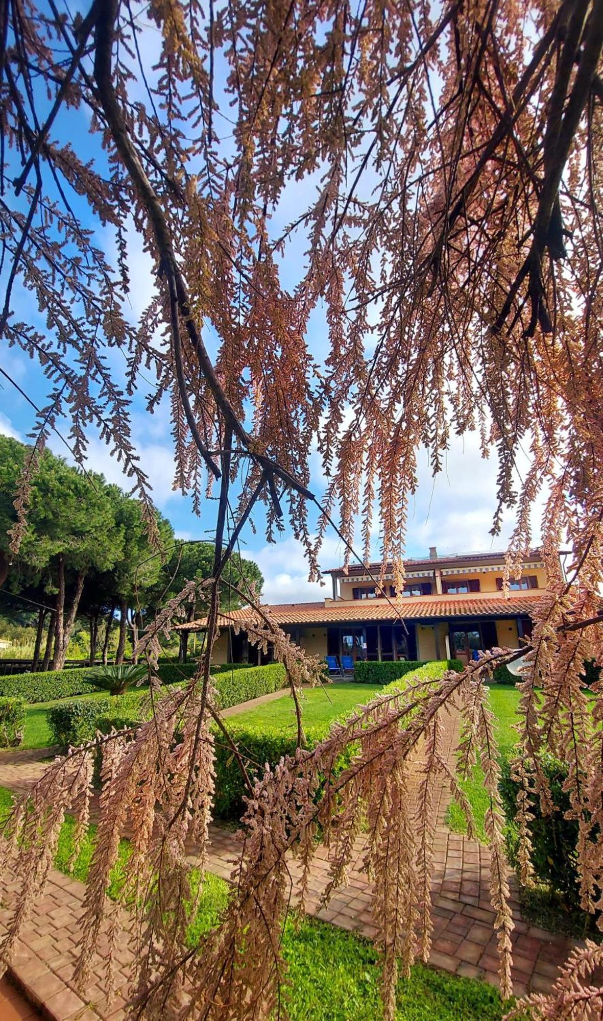 Lido Azzurro Residence Rta Capoliveri  Bagian luar foto